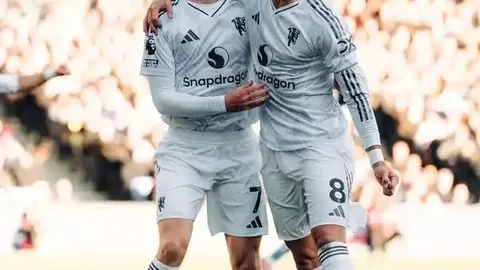 “珀斯神秘猫群攻占坎斯繁华区，独家数据揭秘！”